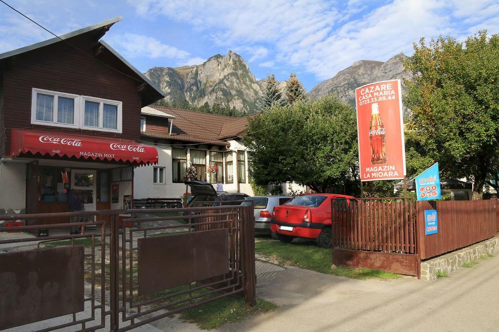 Casa Maria Busteni - Poiana Tapului Buşteni Exterior foto